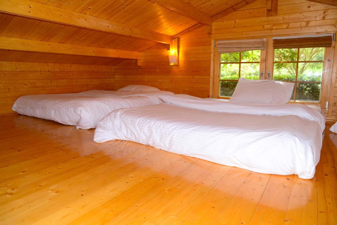 Severine Cottages And Lounge Ltd ไนโรบี ภายนอก รูปภาพ